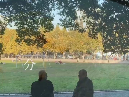 “听了几遍苦情歌 歌词比我们快乐”