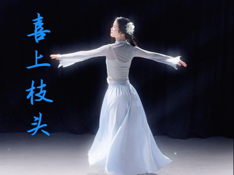 春晚舞蹈《喜上枝头》片段翻跳