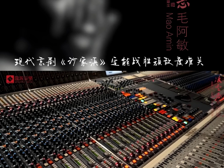 【毛阿敏现代京剧《沙家浜》定能够战胜顽敌渡难关】  选自毛