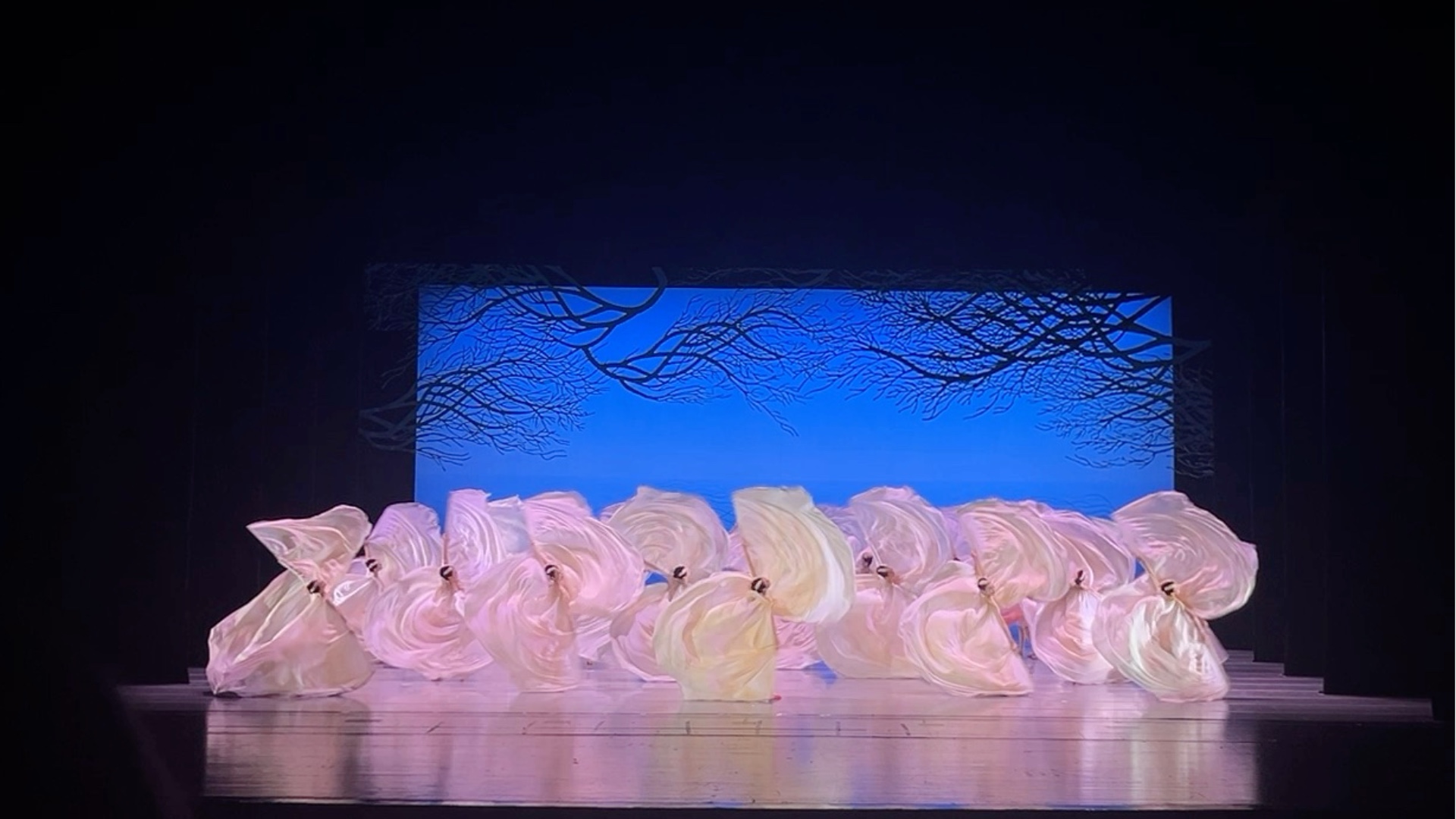 舞剧《朱鹮》郑州7月5号午场谢幕