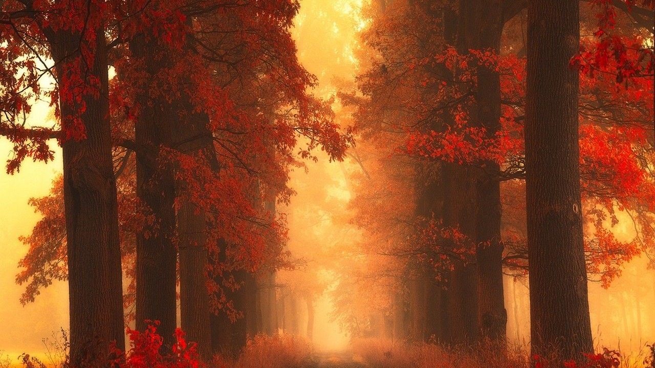 维吾尔族流行歌曲《gulga axik man bolay》悠扬曲调里，藏着 