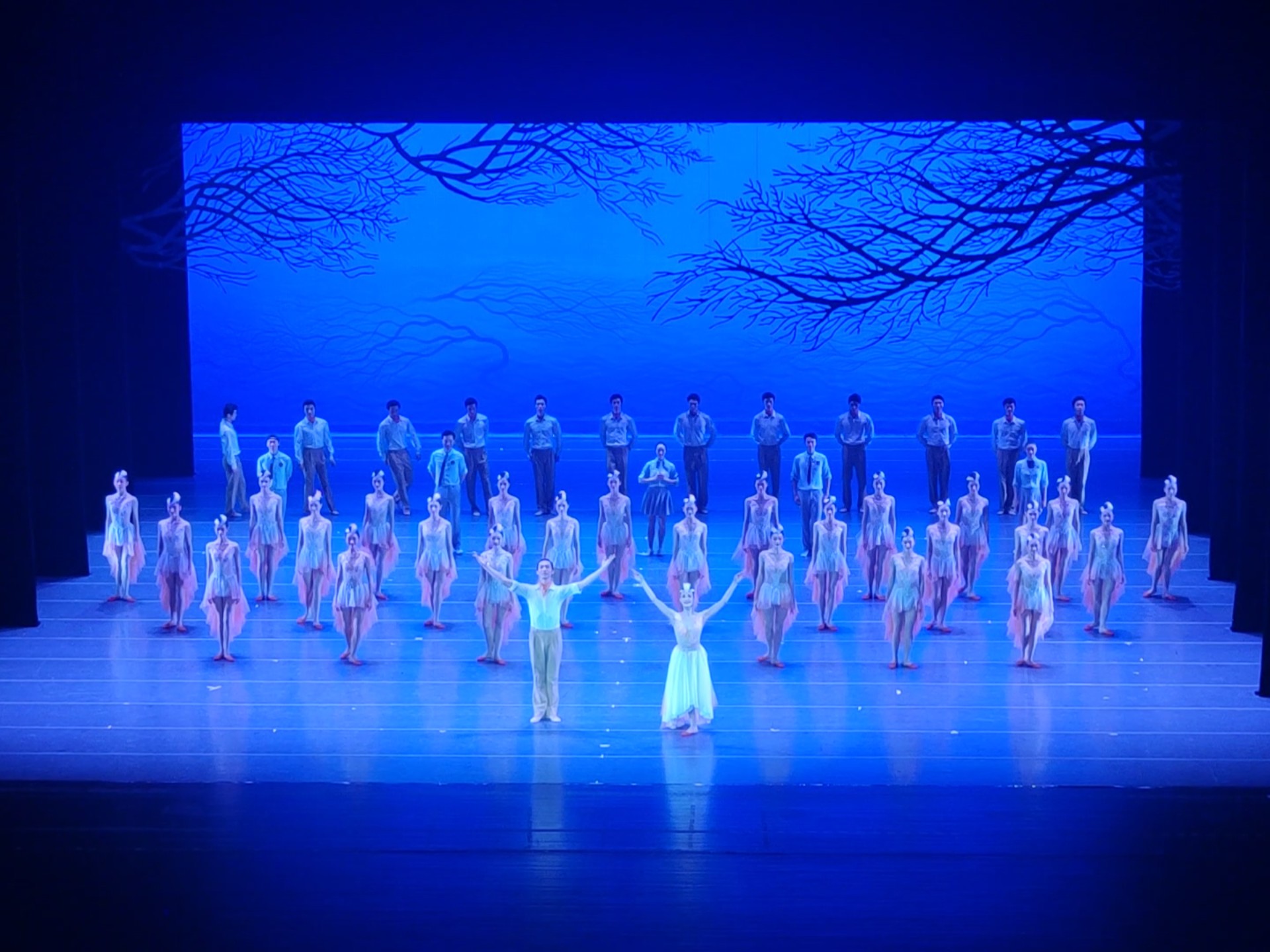 舞剧《朱鹮》 250705午场郑州大剧院