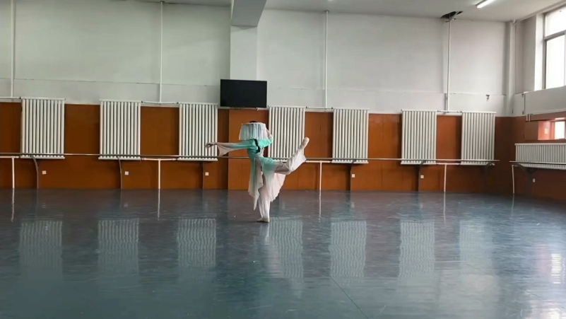 春来花自放自扒无倍速