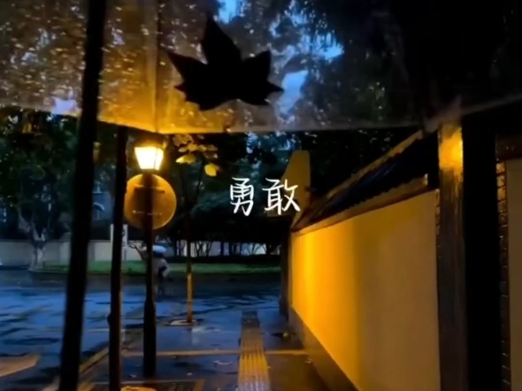 “会好 迟早”
