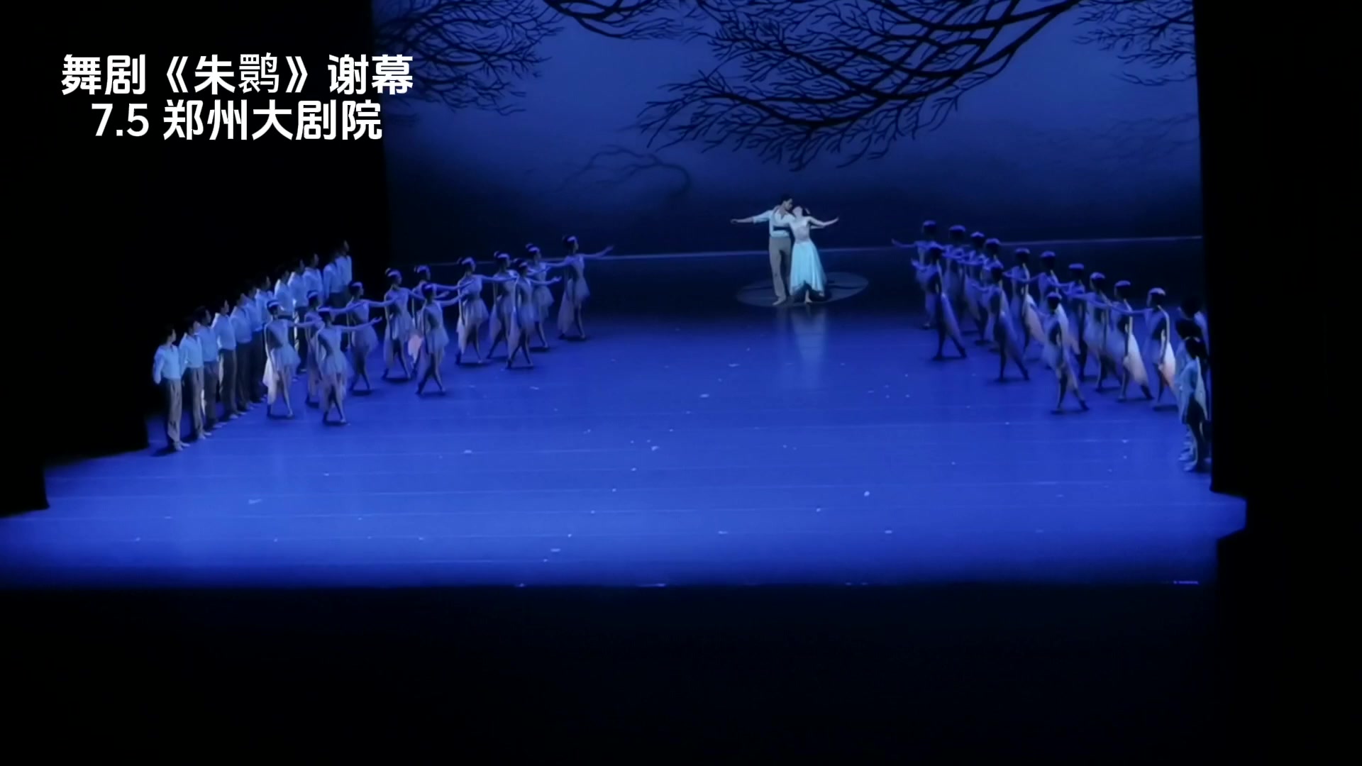 舞剧《朱鹮》谢幕！7月5日，郑州大剧院！