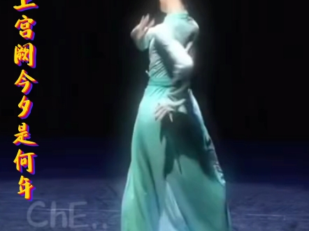 不知天上宫厥今夕是何年