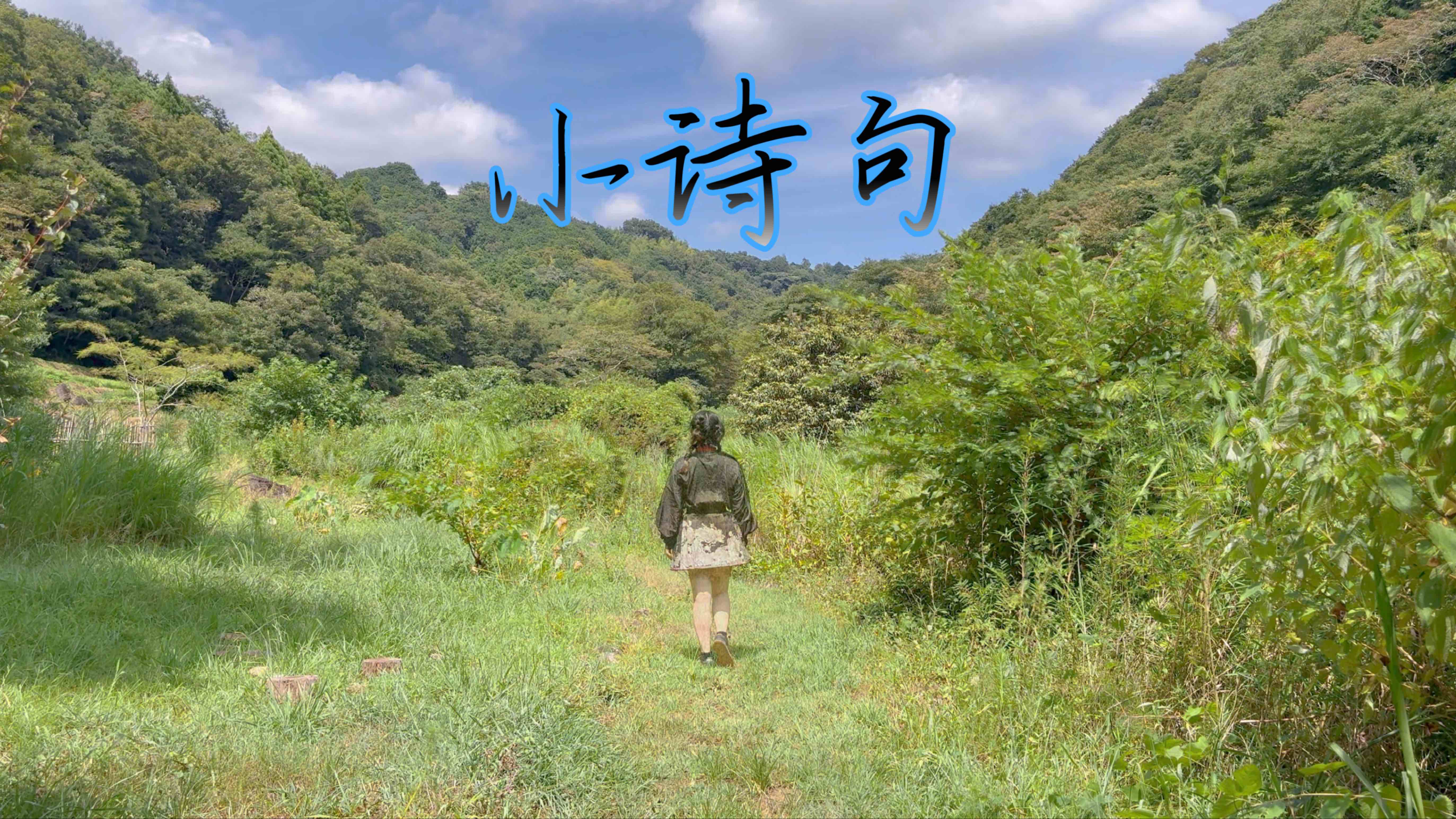 大梦归离主题曲-小诗句翻跳-纵有这世间法理千万句，不及一声我