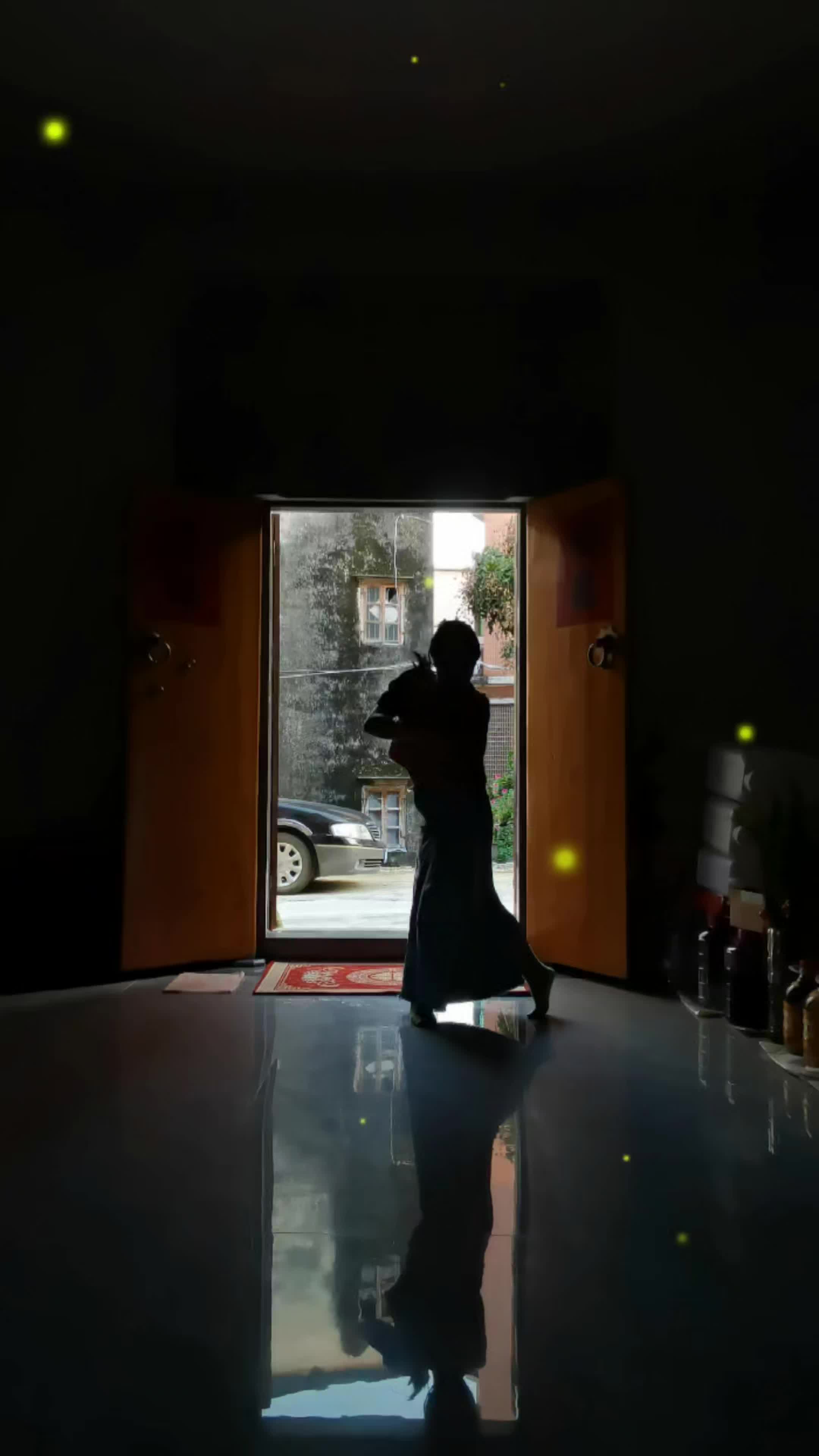 ①小时学舞记录之大梦归离ଲଇ……