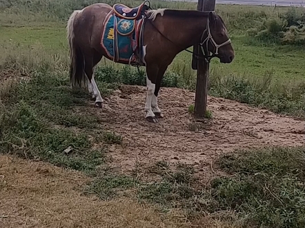 【西海之力】更新啦，赶紧来围观吧！