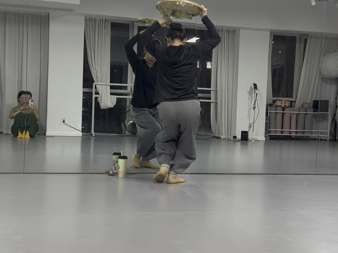 茶花开了第六节动作分解（地面）完结