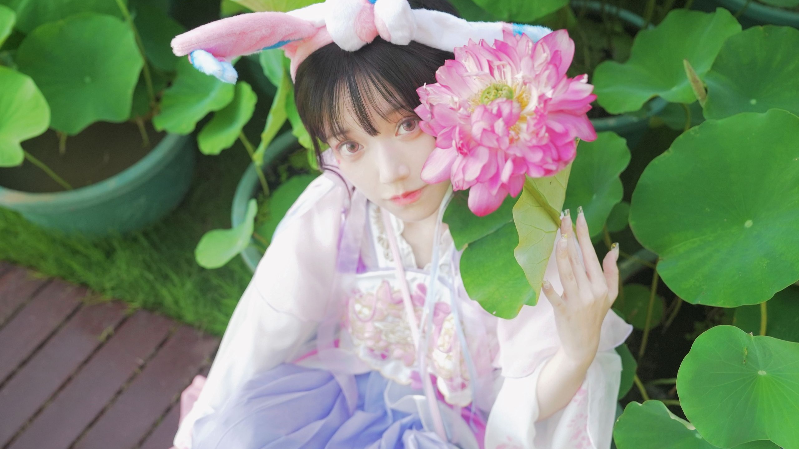 仙子还是伊布？