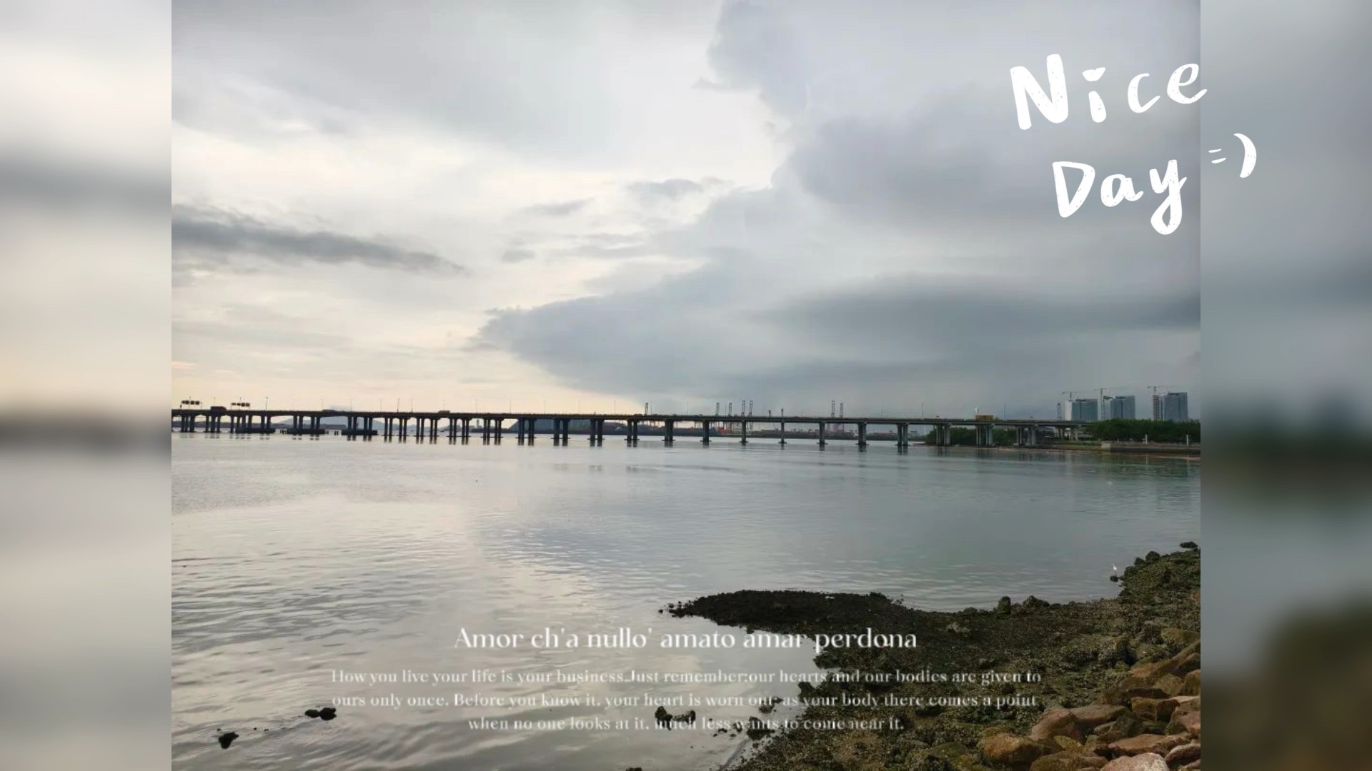 深圳湾自然生态旅游资源保护