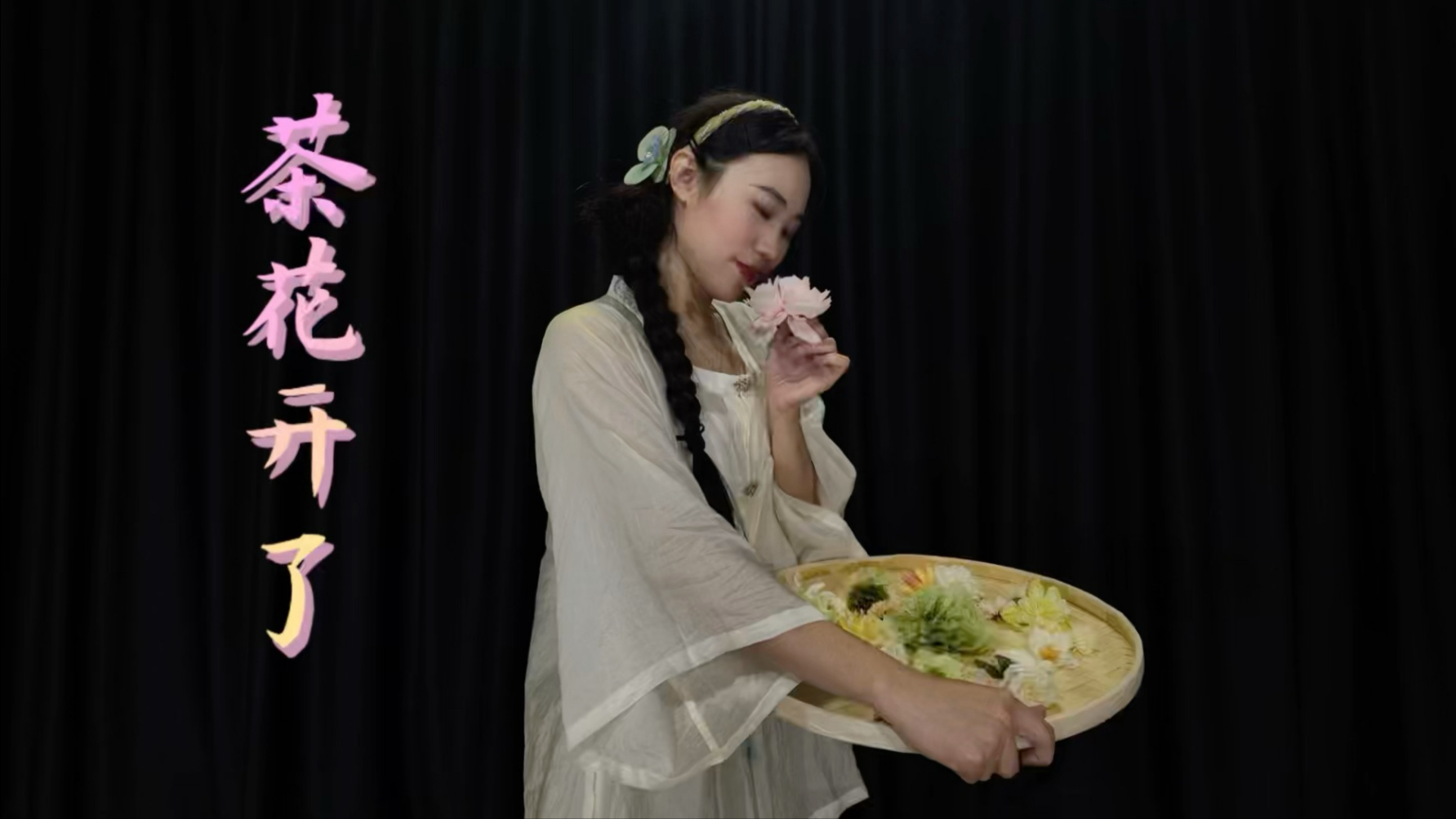 《茶花开了》