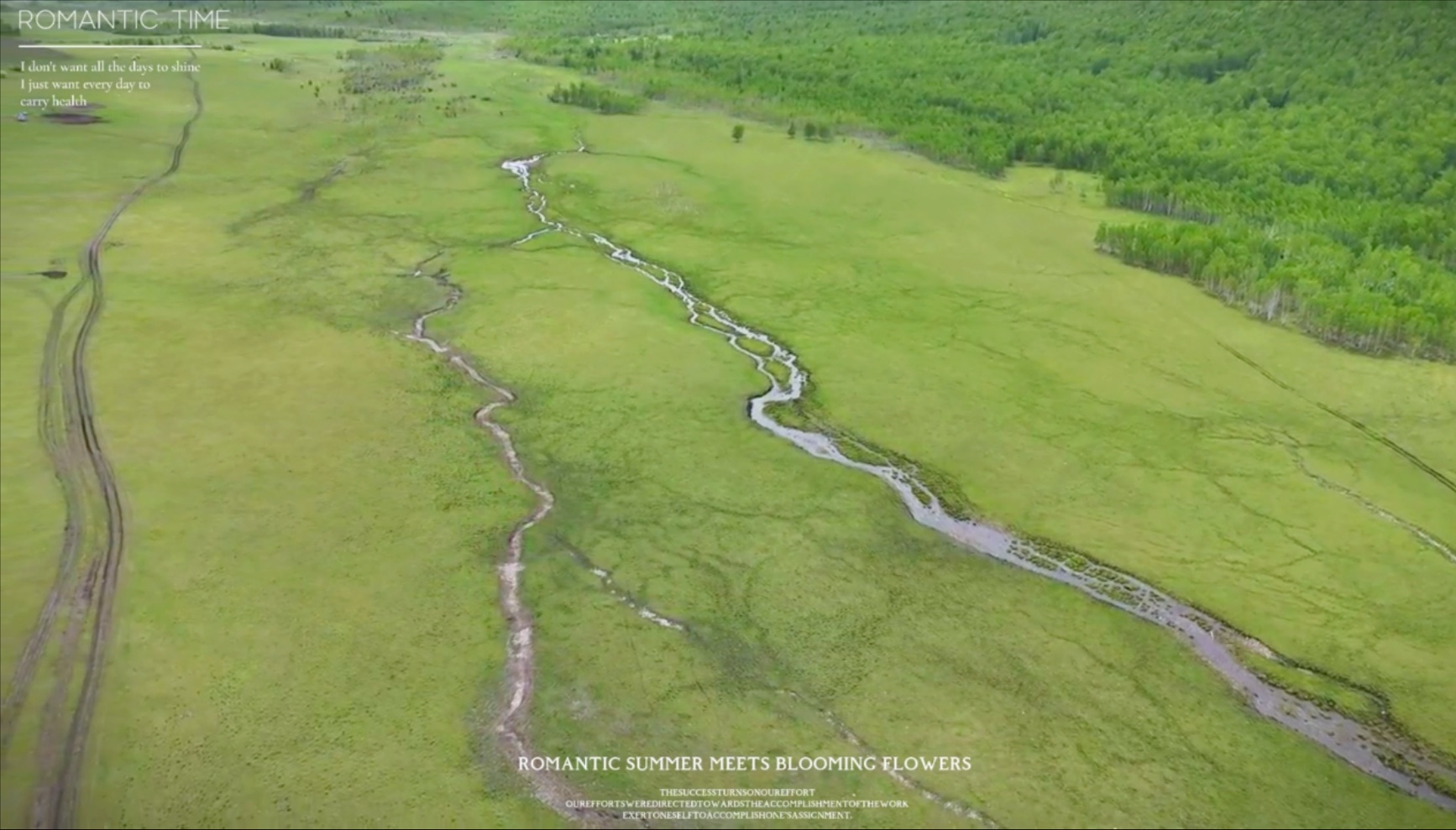 好爱大草原，好爱大自然，自由时刻