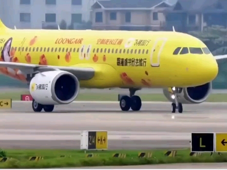 网友们，你们看，这架飞机是专门给虞书欣准备的，（虞书欣第一架定制