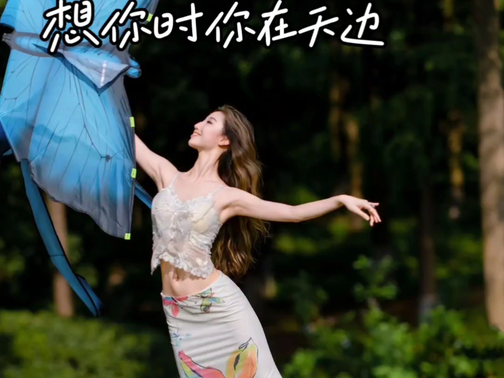 想你时你在天边