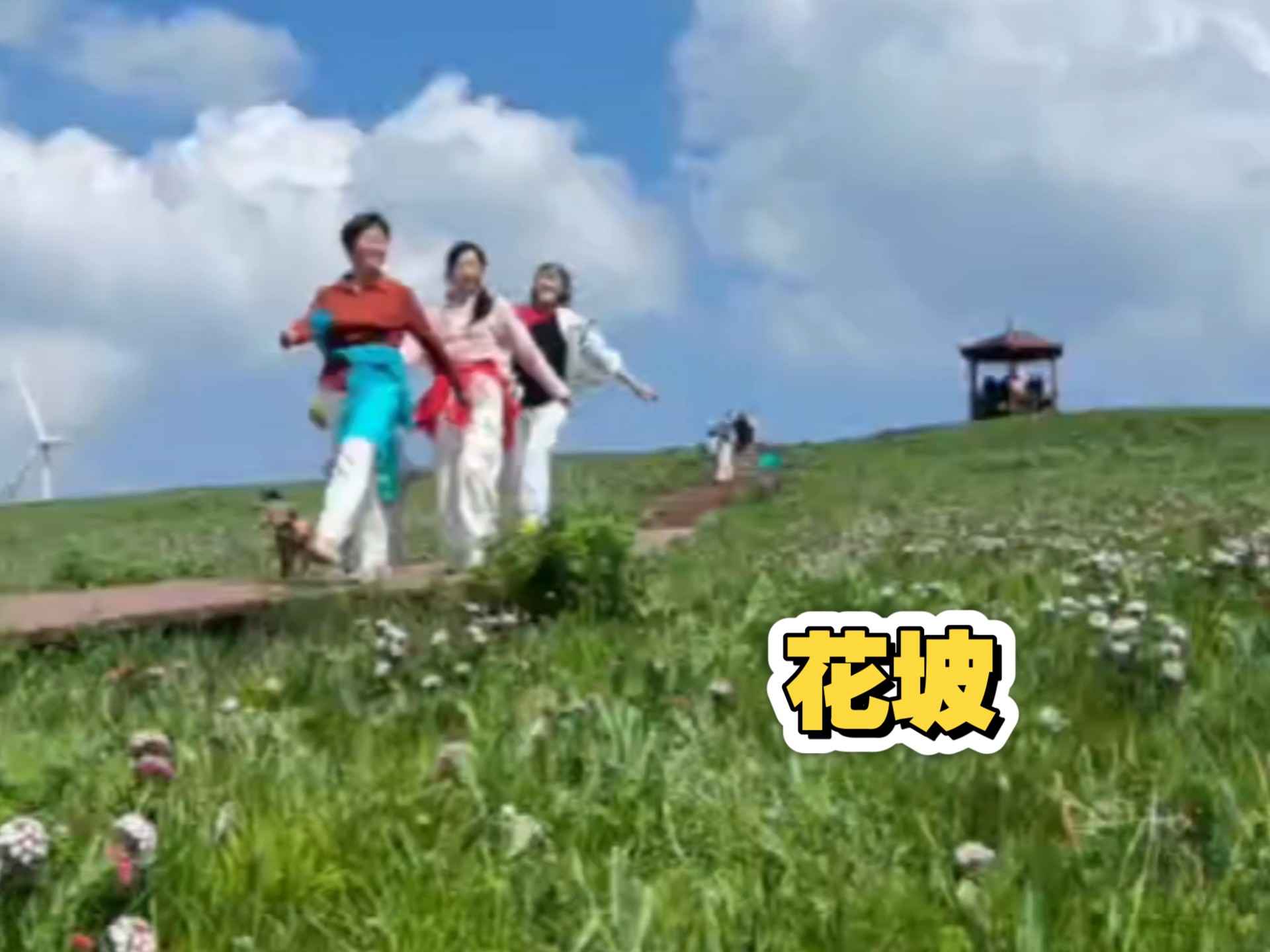 花坡闹腾