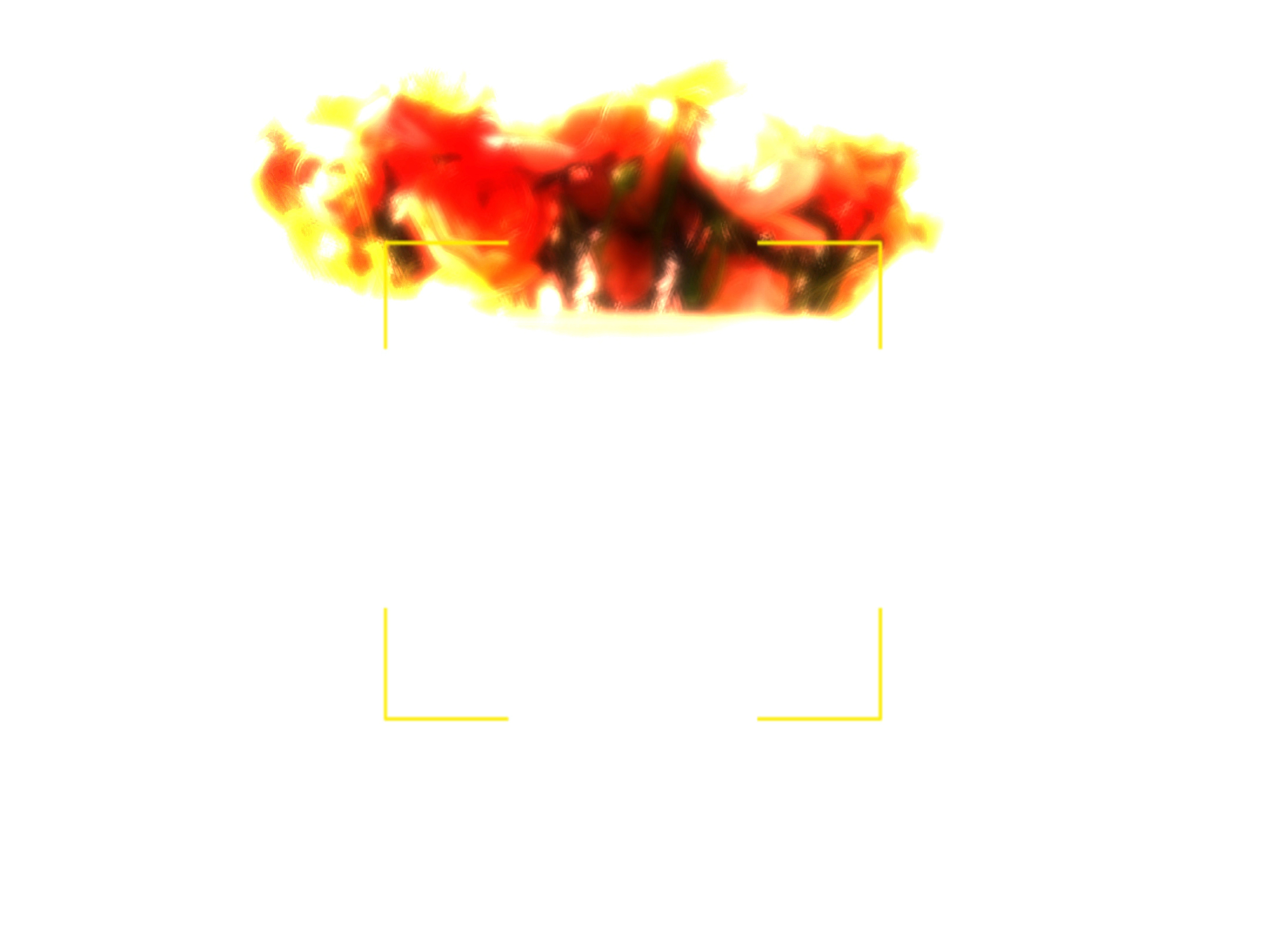 每周一花。
