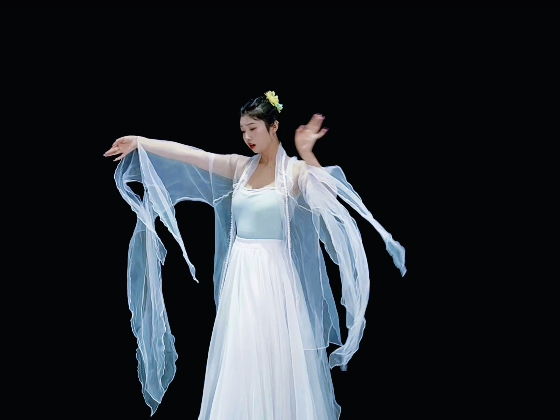 《惊鸿一面》仿佛映当年翩若惊鸿影～