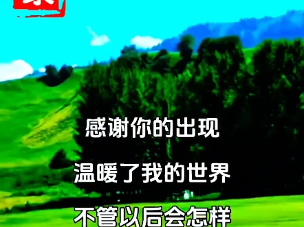 感谢你的出现，温暖了我的世界#情感#心灵鸡汤#人生感悟@哔哩哔