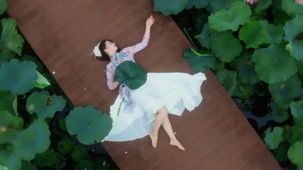 荷你相遇，荷塘悦色《最近总在做一个梦》