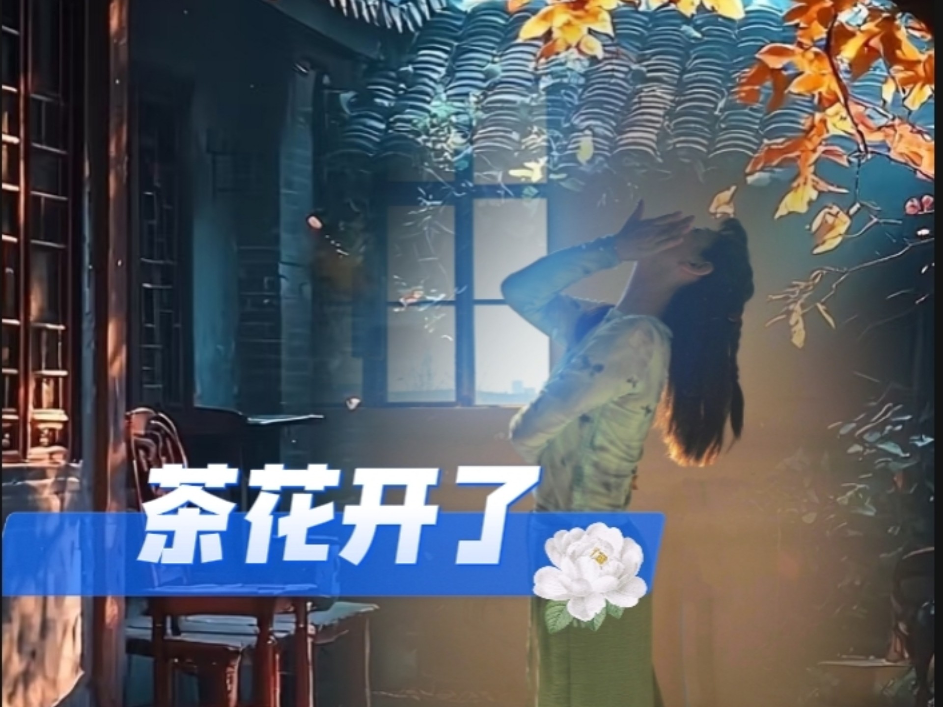 思念的人啊，请你别来无恙！舞蹈《茶花开了》