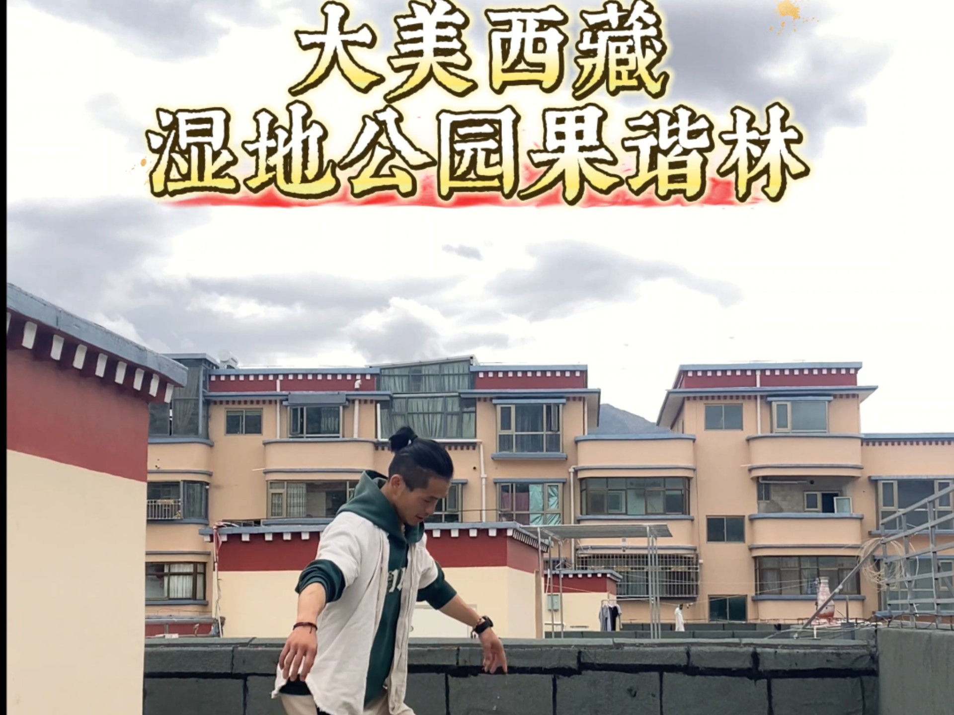 好听的《大美西藏》，今天花时间研究了几位老师的视频。看着视