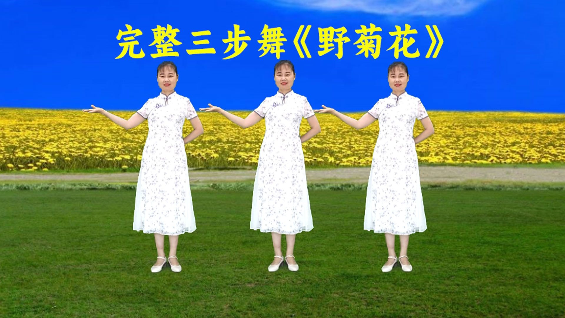 热搜三步广场舞《野菊花》完整版