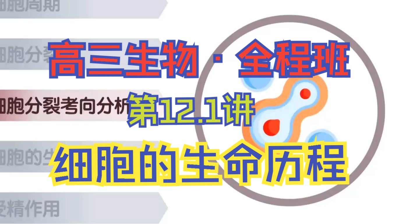 12-1.细胞的生命历程与受精作用_高三生物