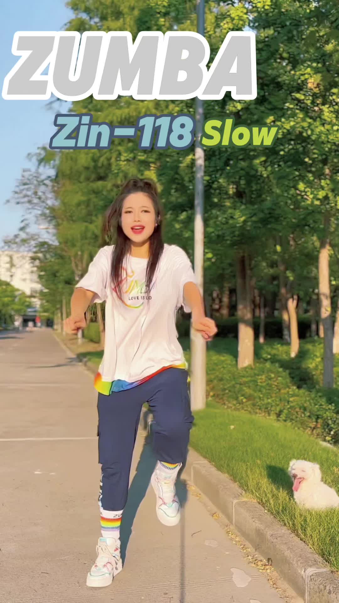 Zumba zin118 slow