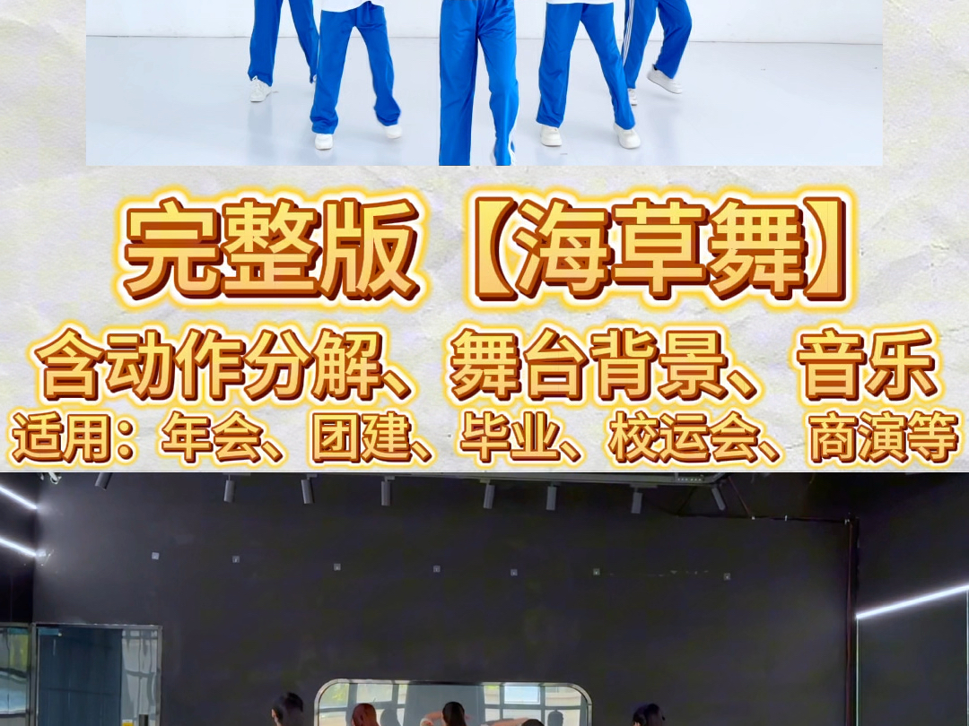 适合活跃气氛的零基础舞蹈【海草舞】