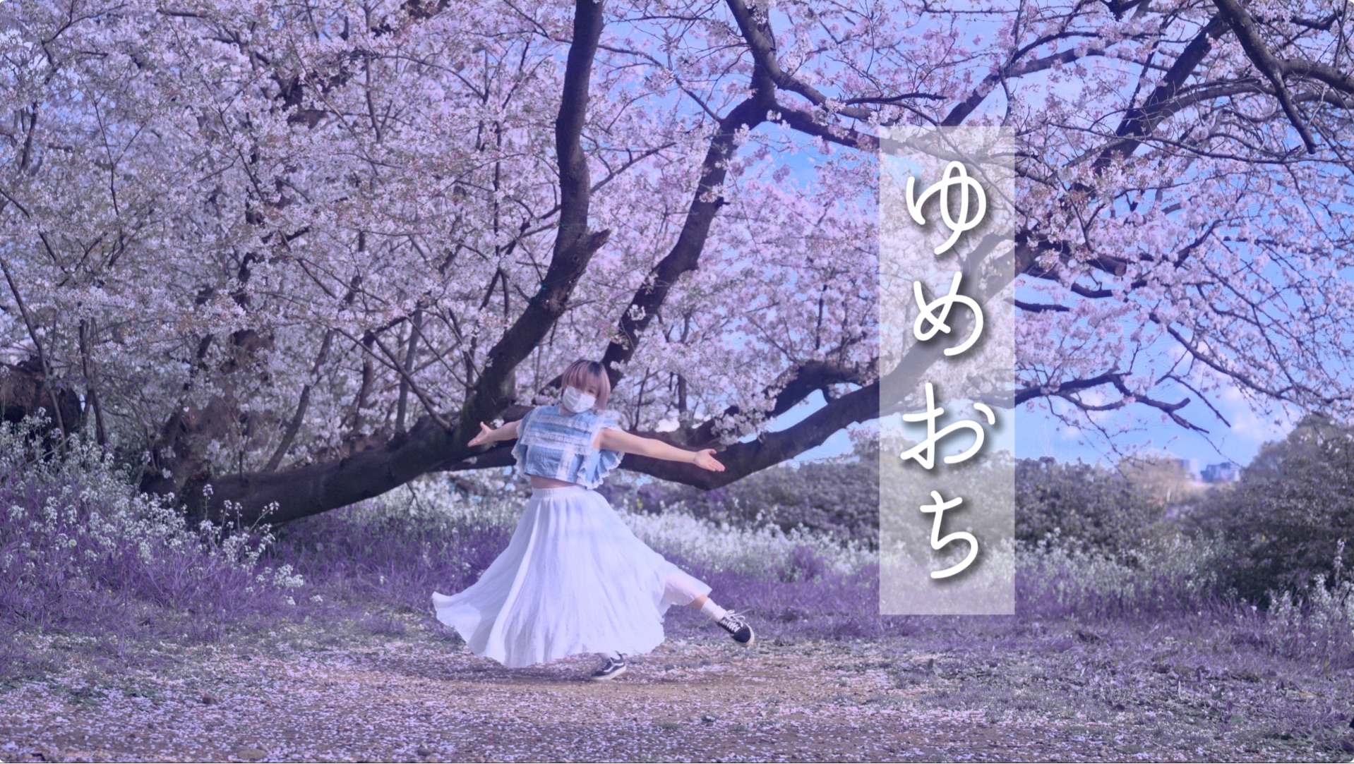 【春·即兴】  ゆめおち/梦落  【楠梦萝】