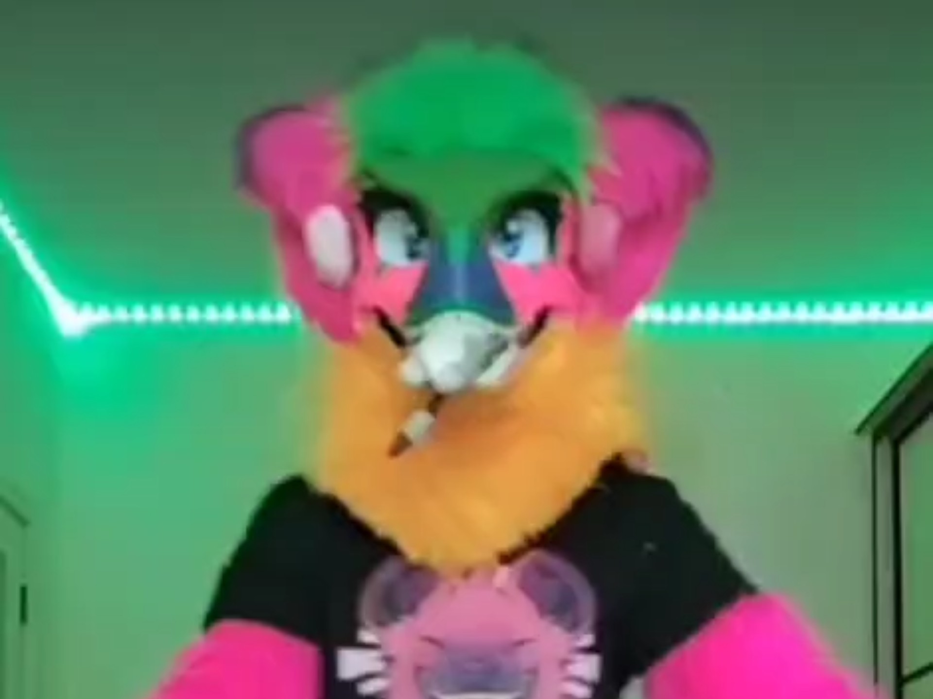 fursuit dance|my first fursuit