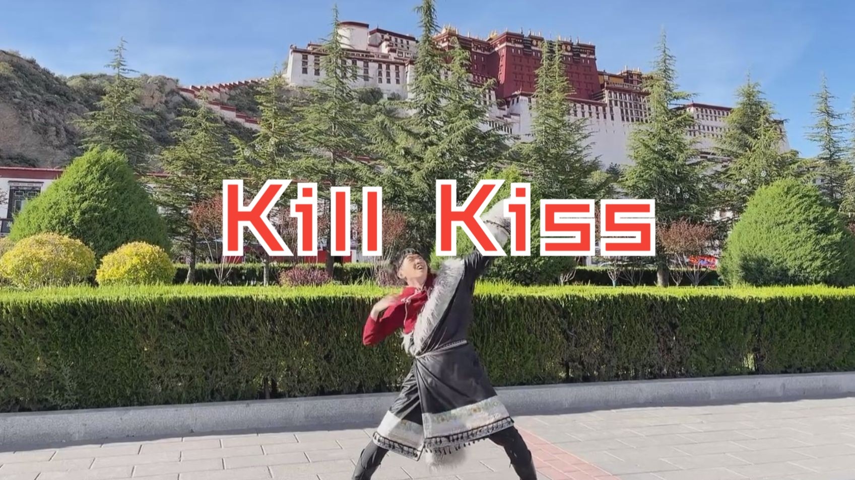 艺欲顶针，鉴定为：杀布（Kill Kiss in 布达拉宫）