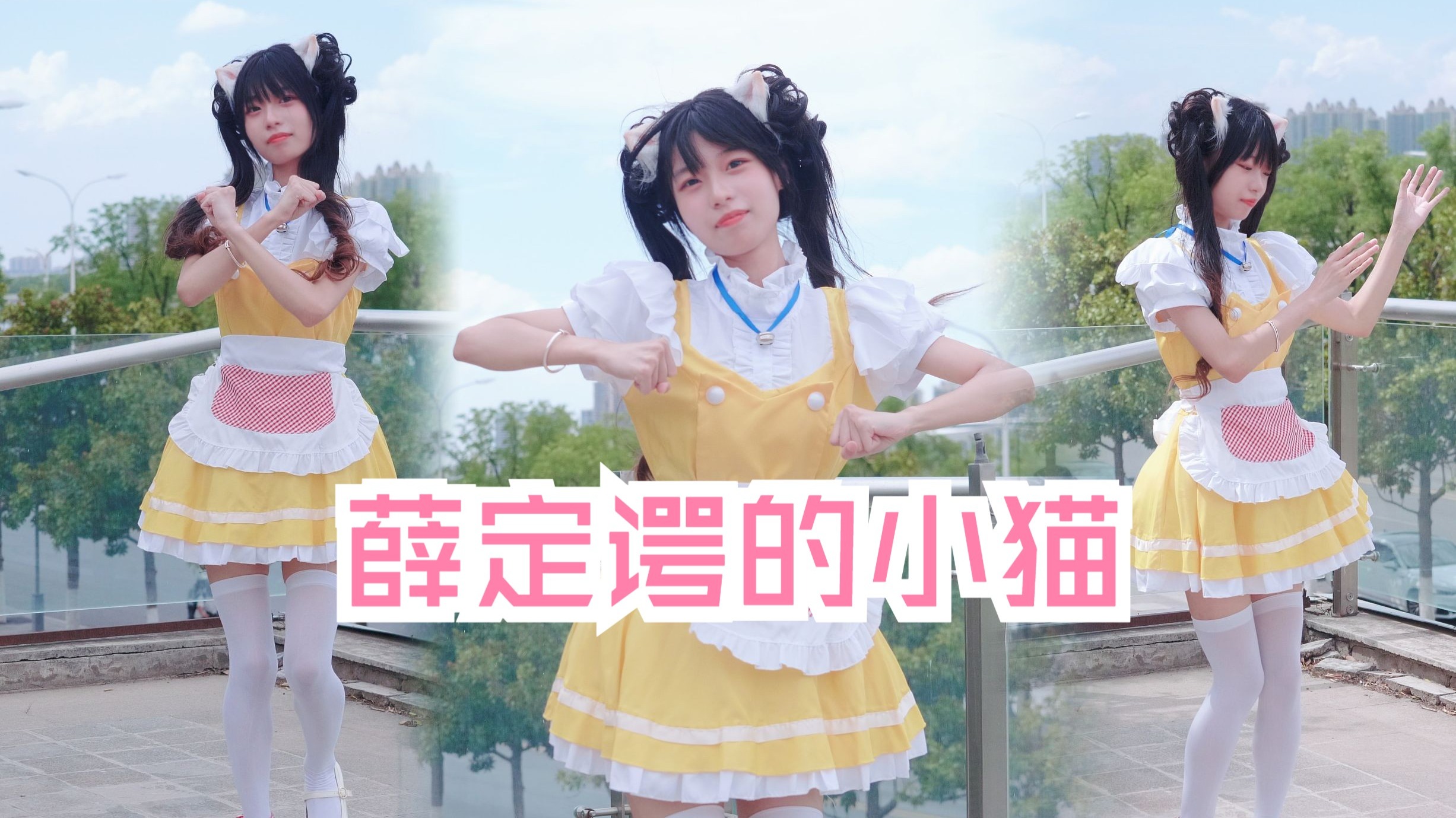 【玥玥子】薛定谔的小猫/ｱｸﾞｰ シュレディンガイガーのこねこ