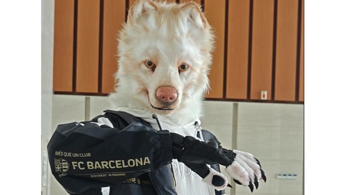 【Fursuit】Dirty Work