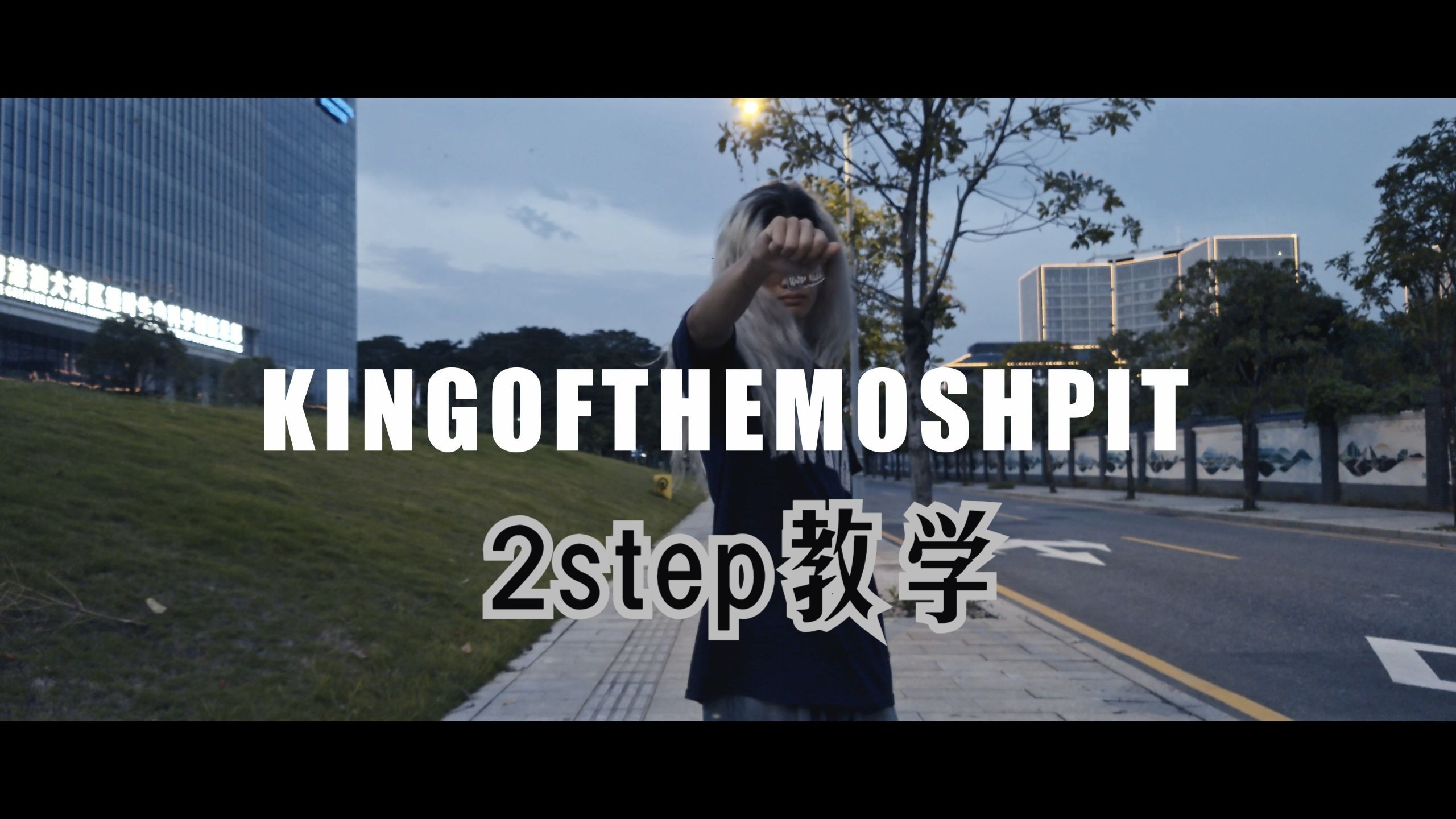 2step教学 mosh最多人同时使用的动作，重新制作版 king of the