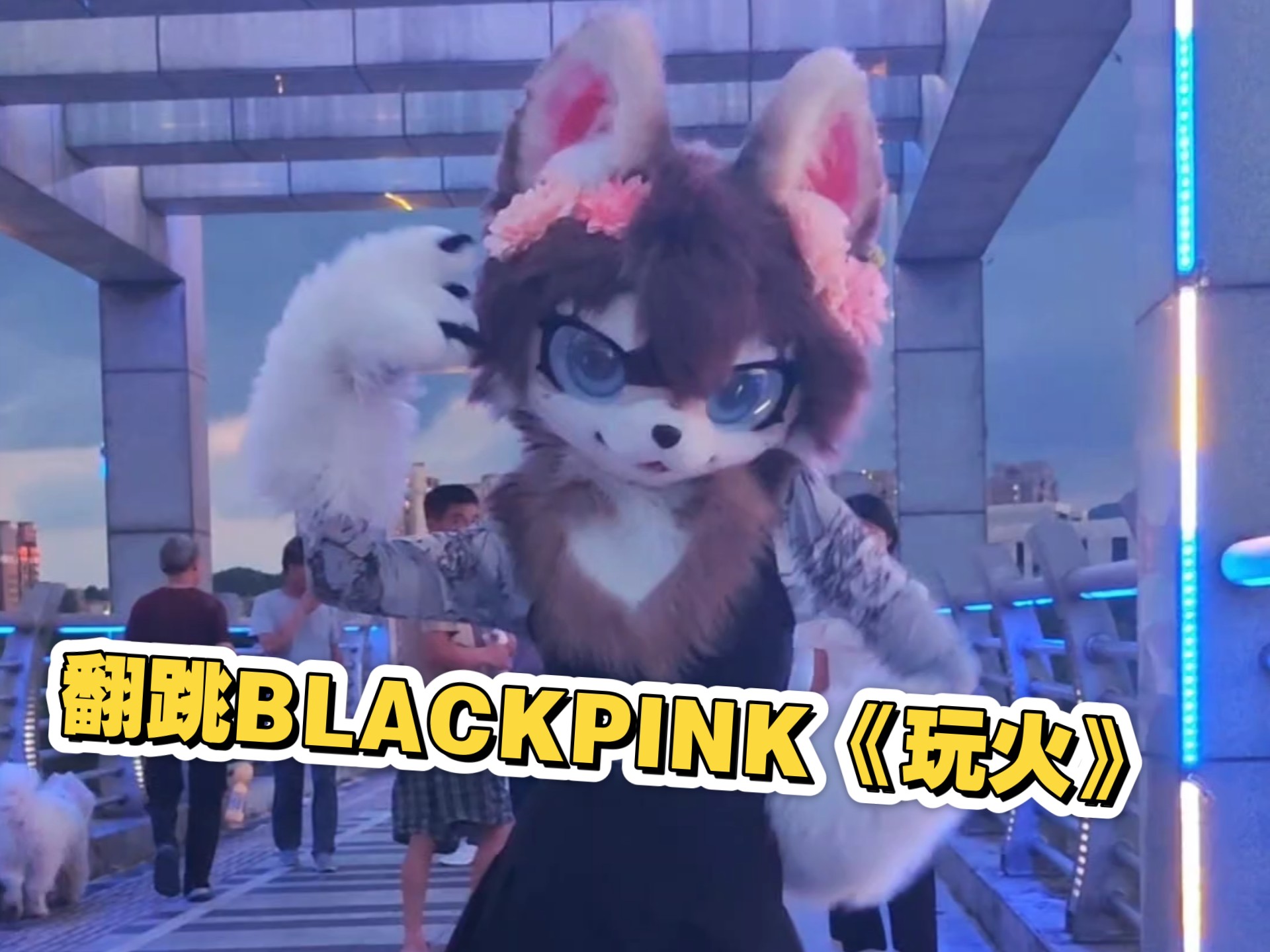 穿兽装在桥上翻跳BLACKPINK《玩火》