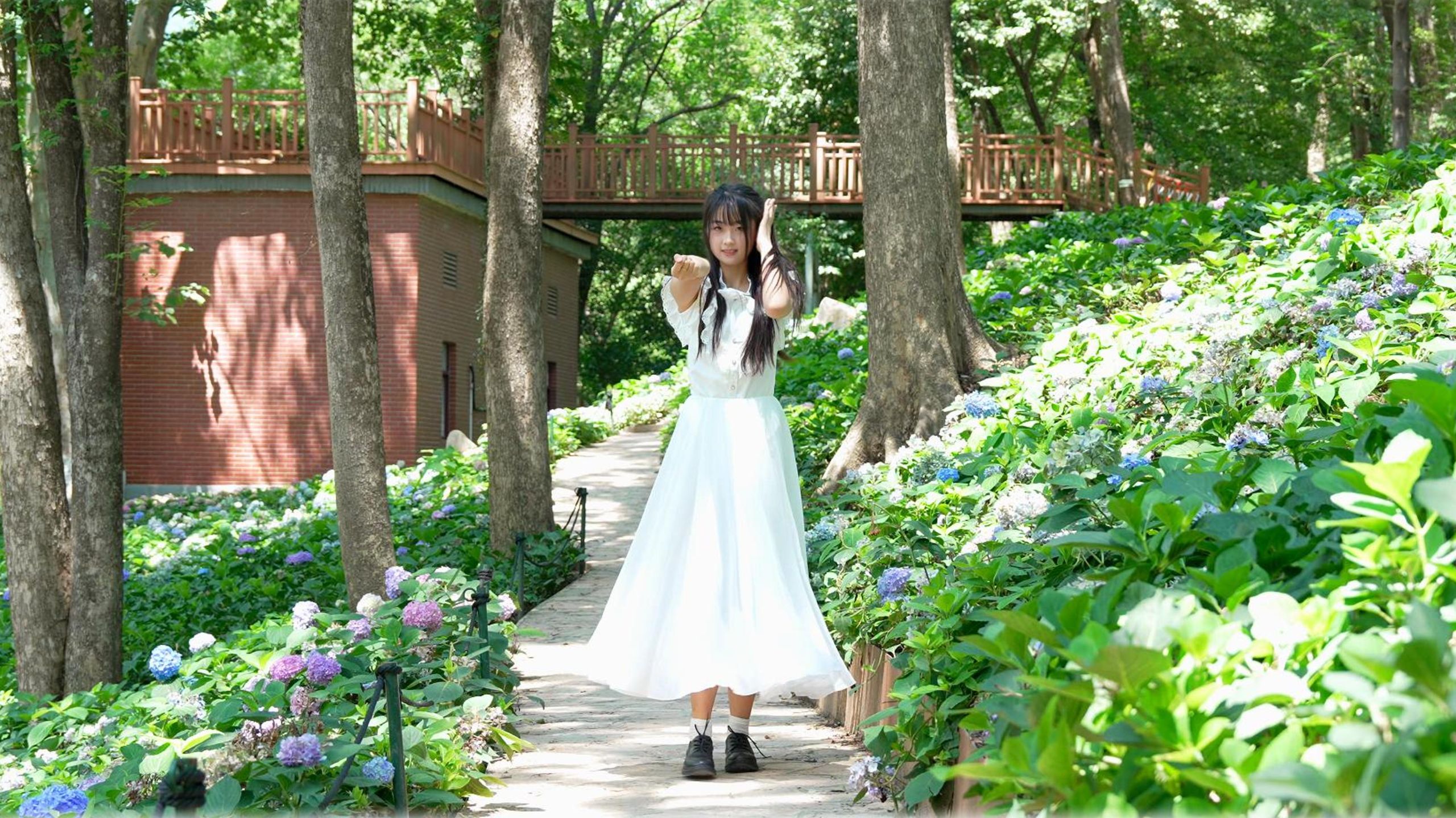 【HB to Mal蚂蚁】ハルカ（遥）-Yoasobi