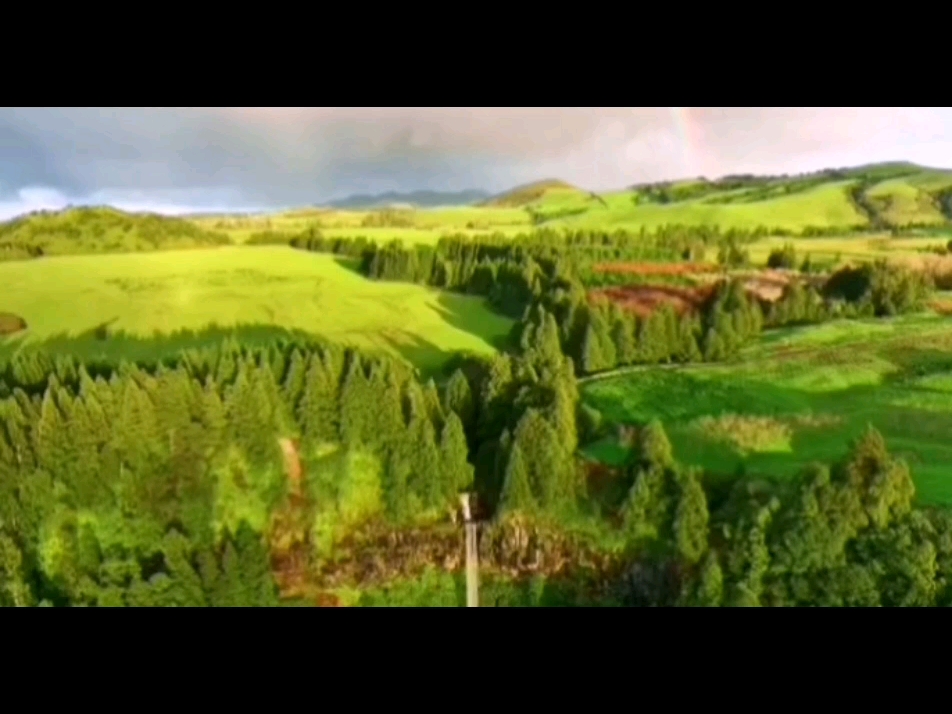 2003加拿大站 sp 萨莎科恩