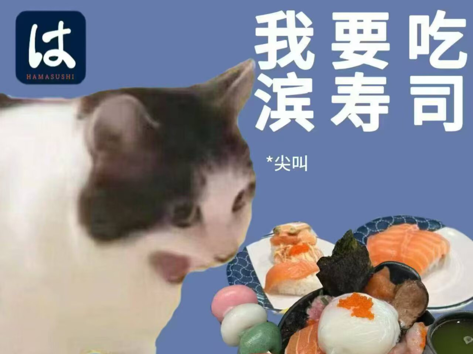 自用中翻唱镜面