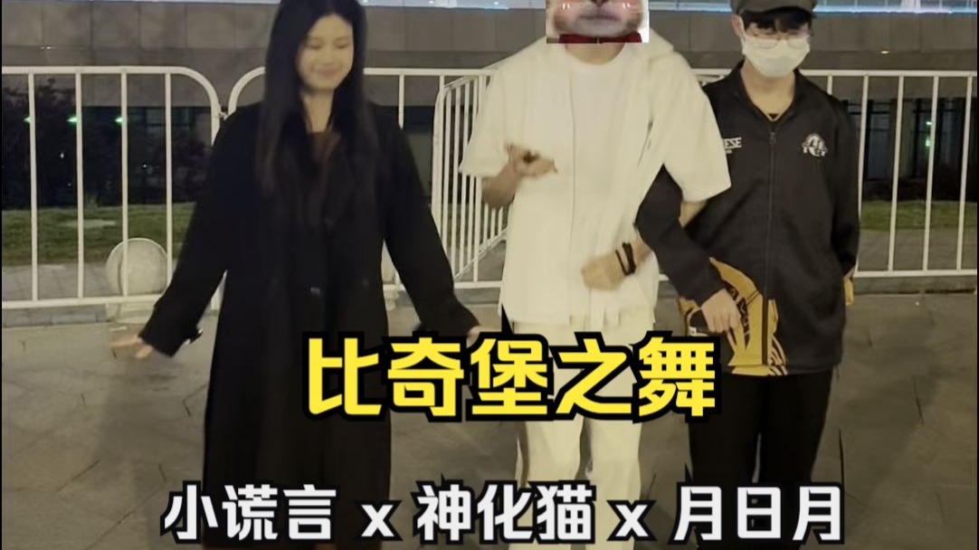COA8后台cha-比奇堡之舞|小谎言x神化猫x月日月
