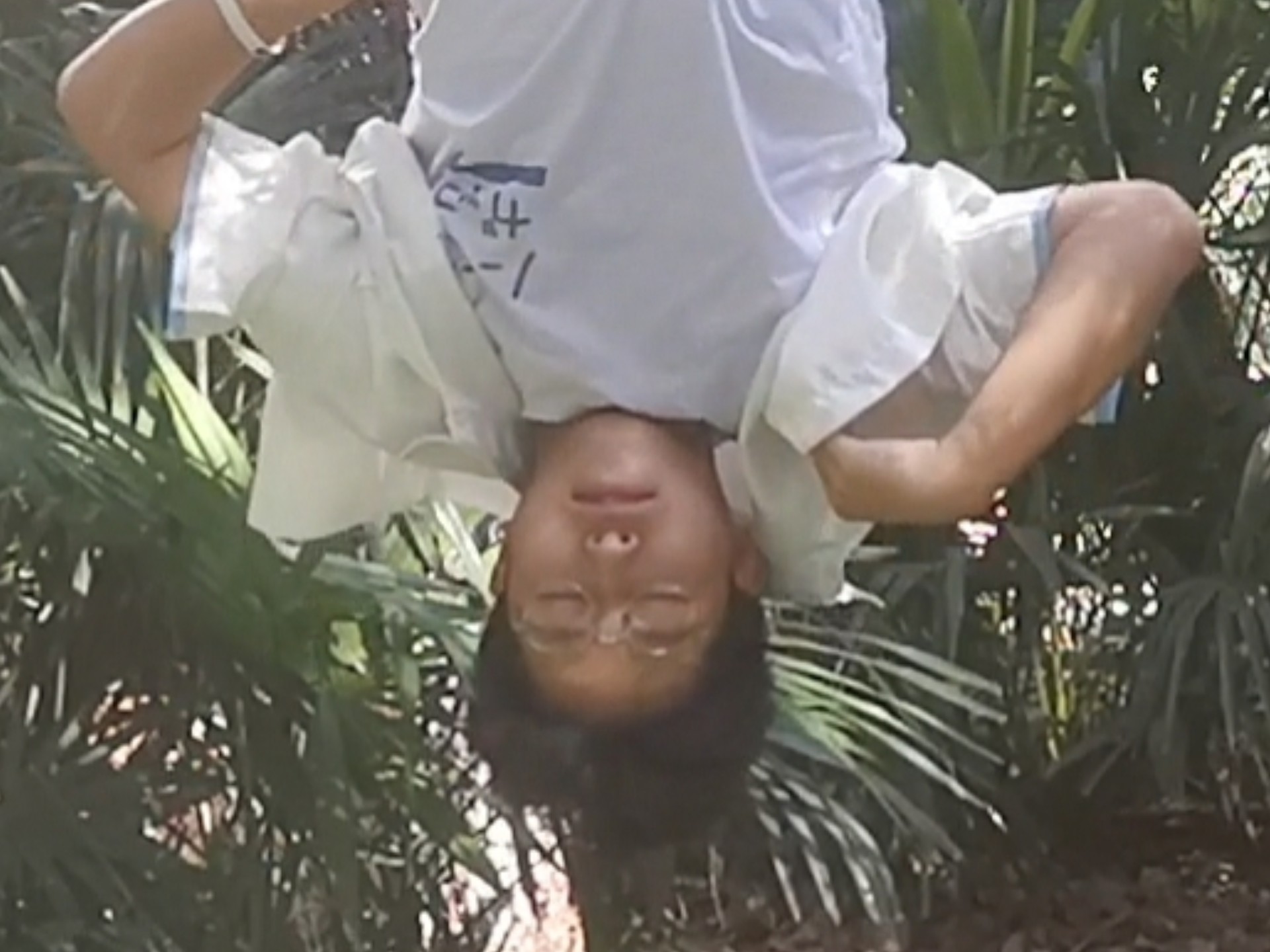 就只是个前桥魔女op吧