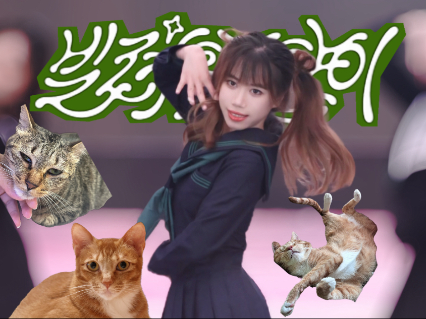 水手服皮肤的嘟嘟嘟嘟嘟啦啦啦啦哒哒哒哒 《借来的猫（do the 