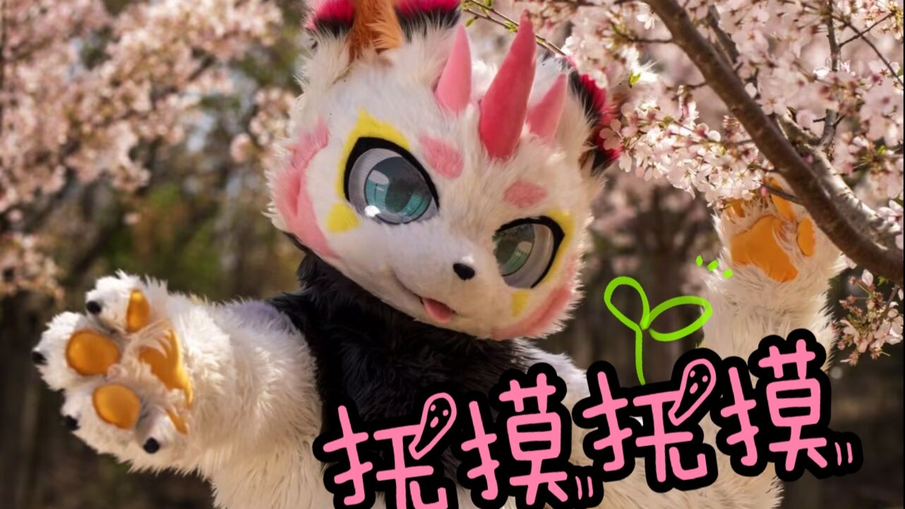 【舞蹈翻跳】芜湖！好多粉粉的樱花呀 让我们一起来抚摸抚摸吧！！