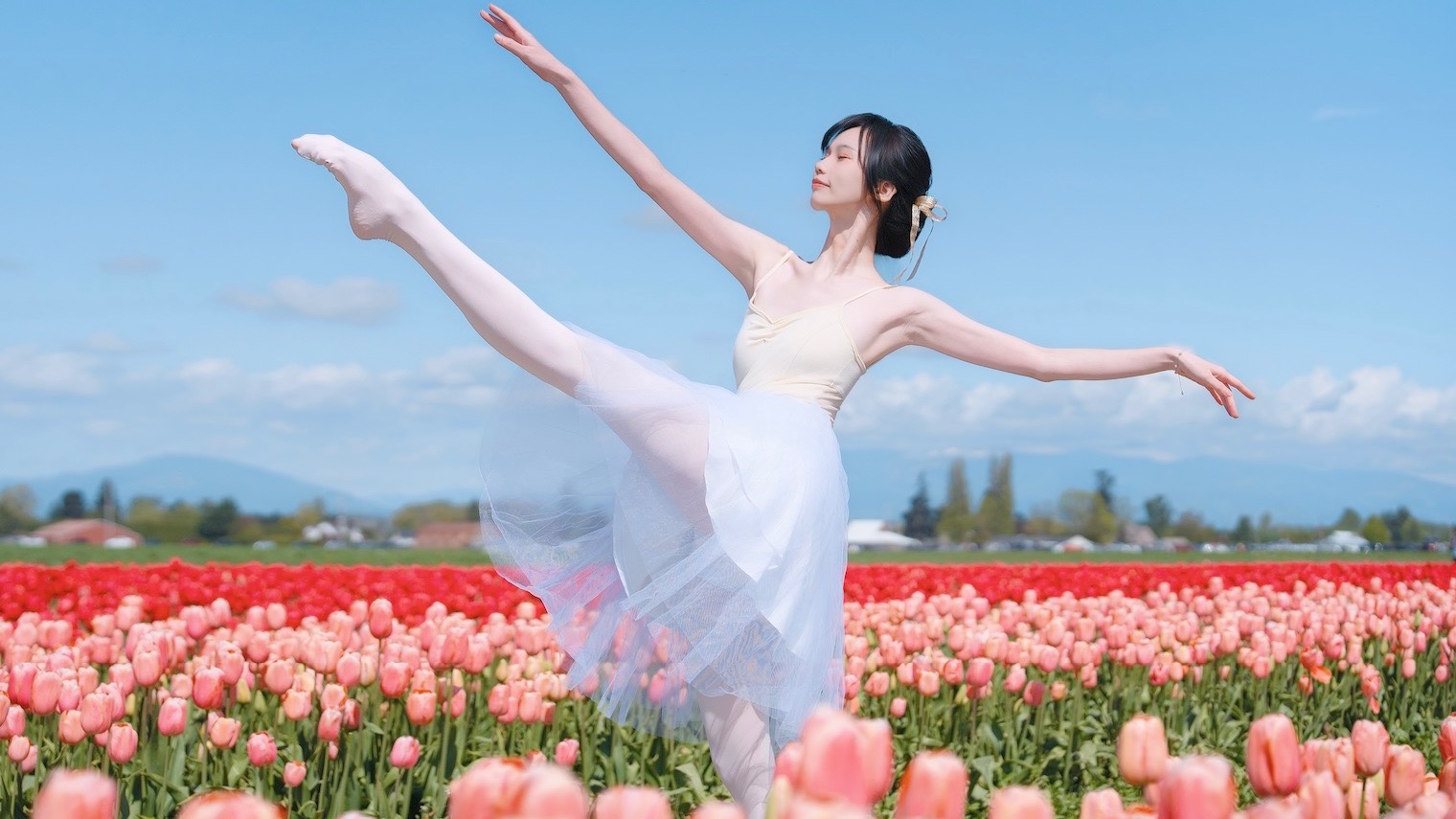 在郁金香花田里当一回公主《枕边童话》