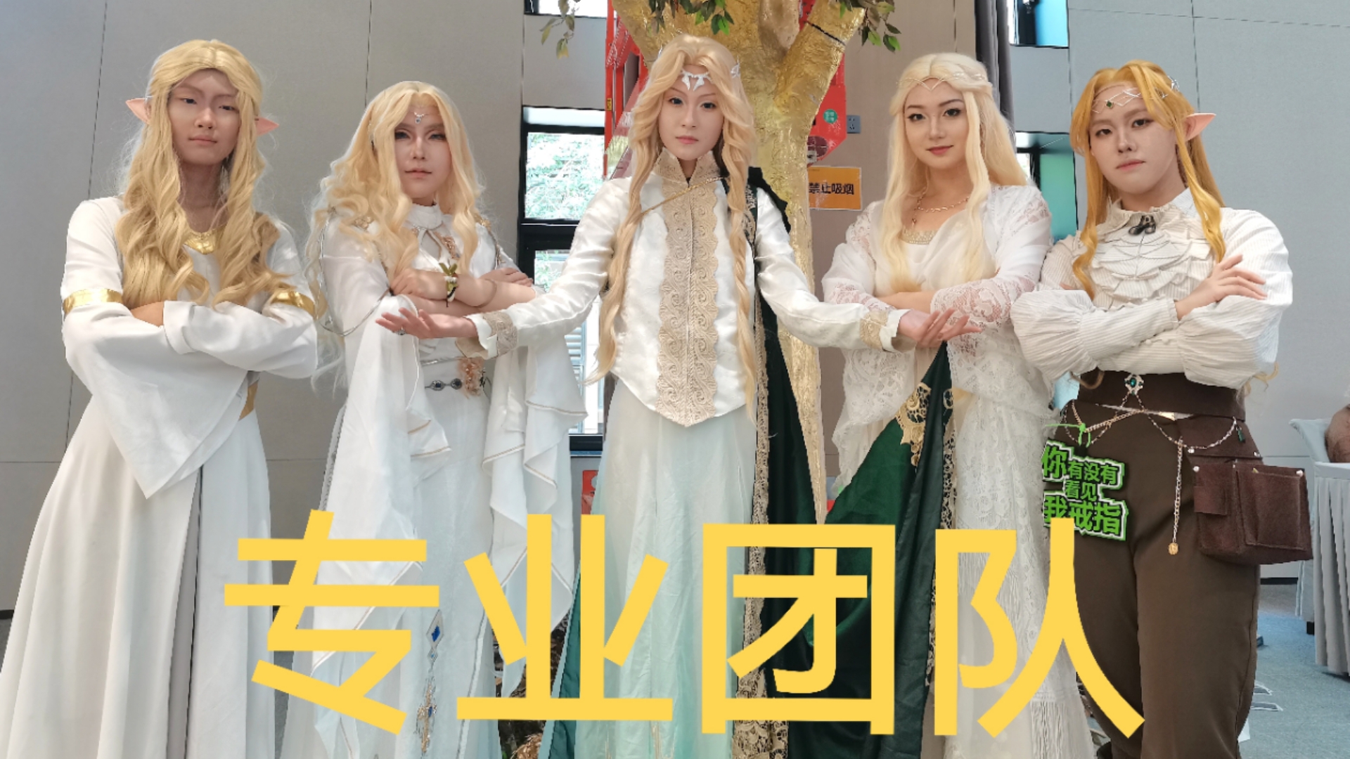 【中洲】猫猫摇大合集！