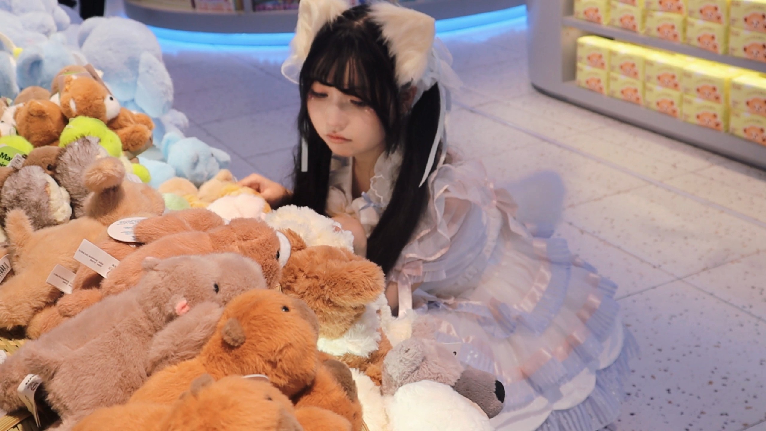 【星叶】就算变成小猫咪也 喜欢你啾～