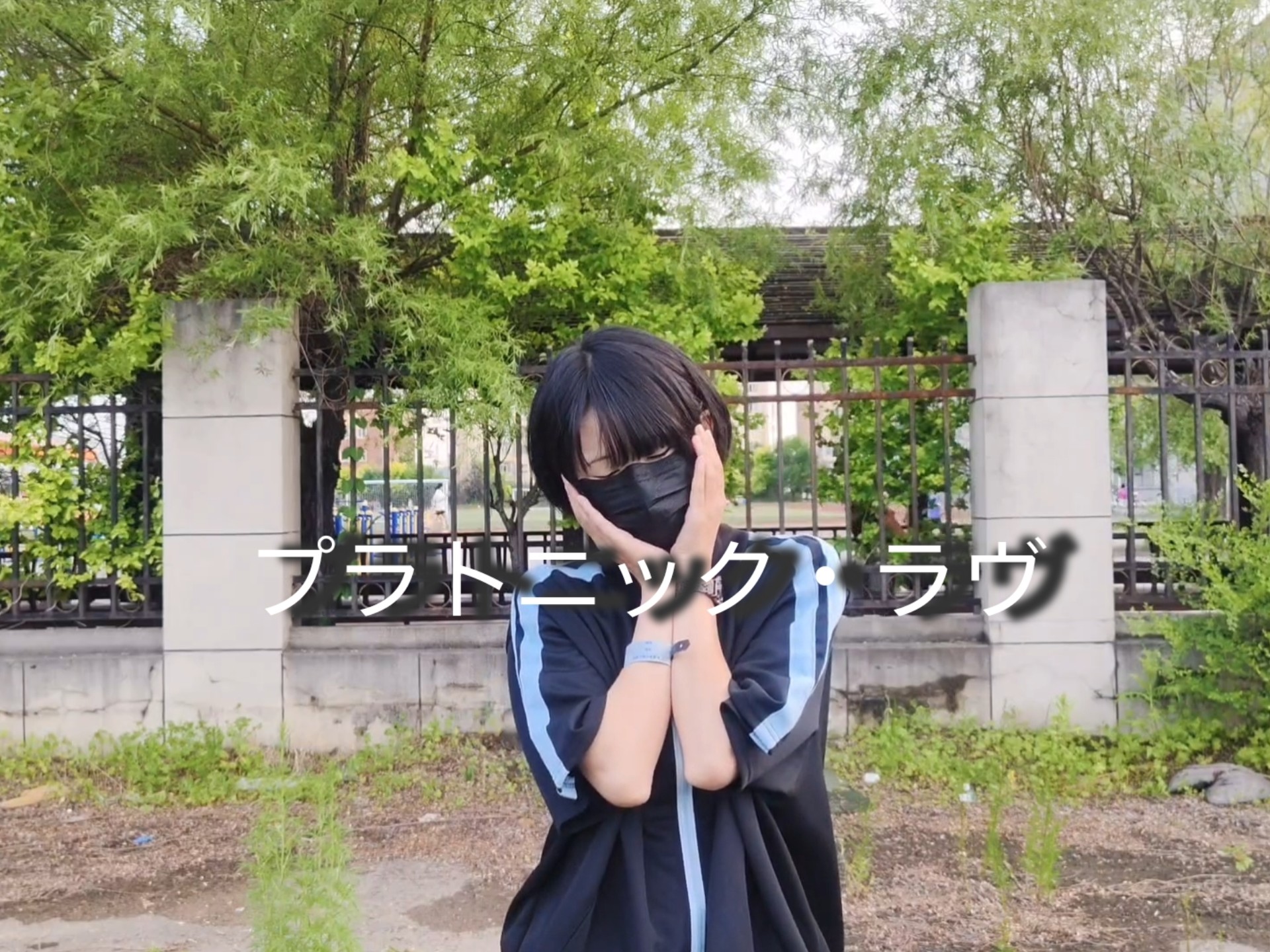 【芝士】柏拉图式爱情［初投稿］