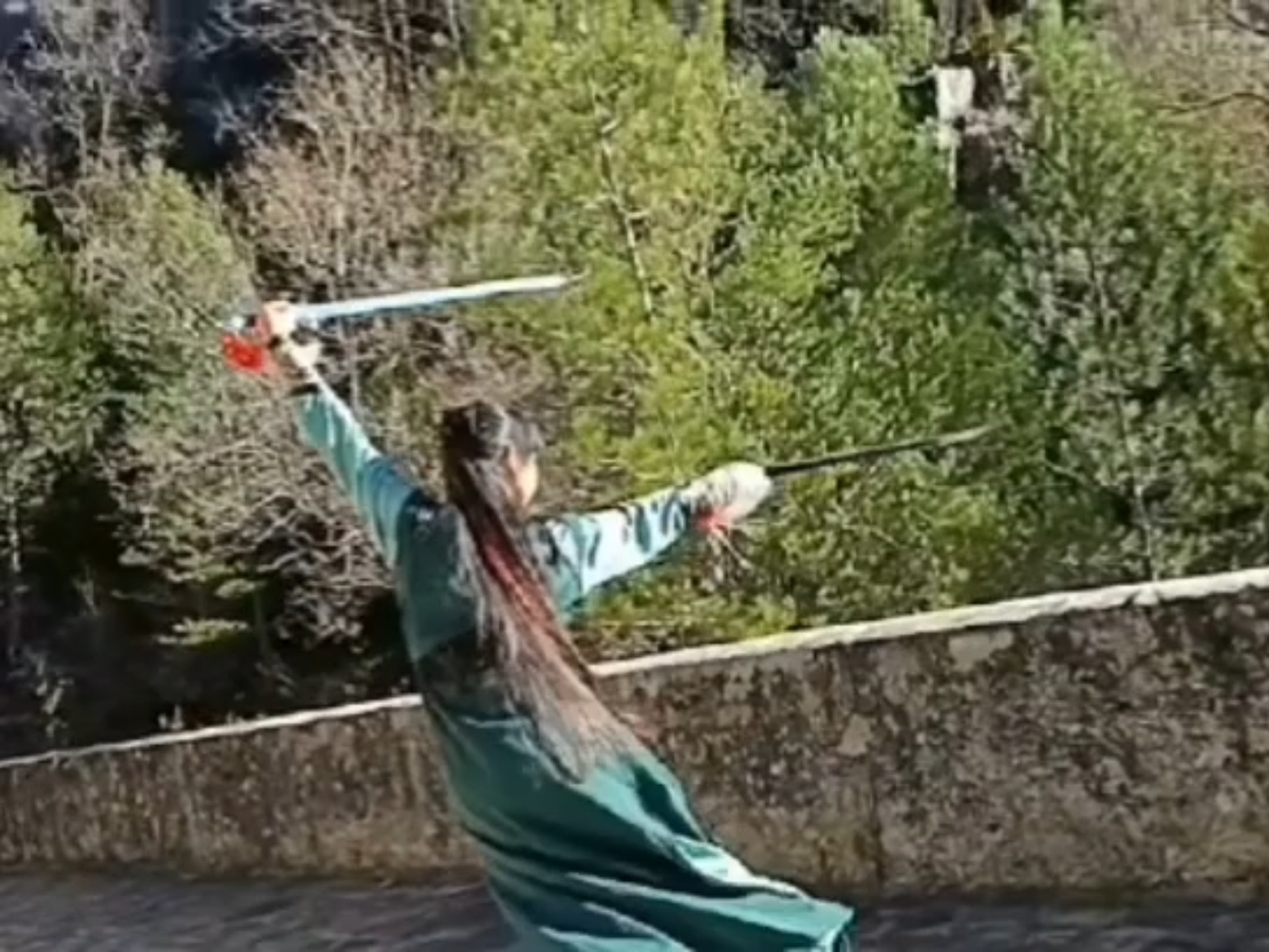 武术双剑